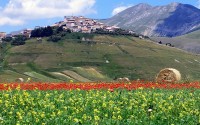6_300004056_castelluccio_di_norcia