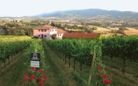 17824593415_29_10agriturismo1